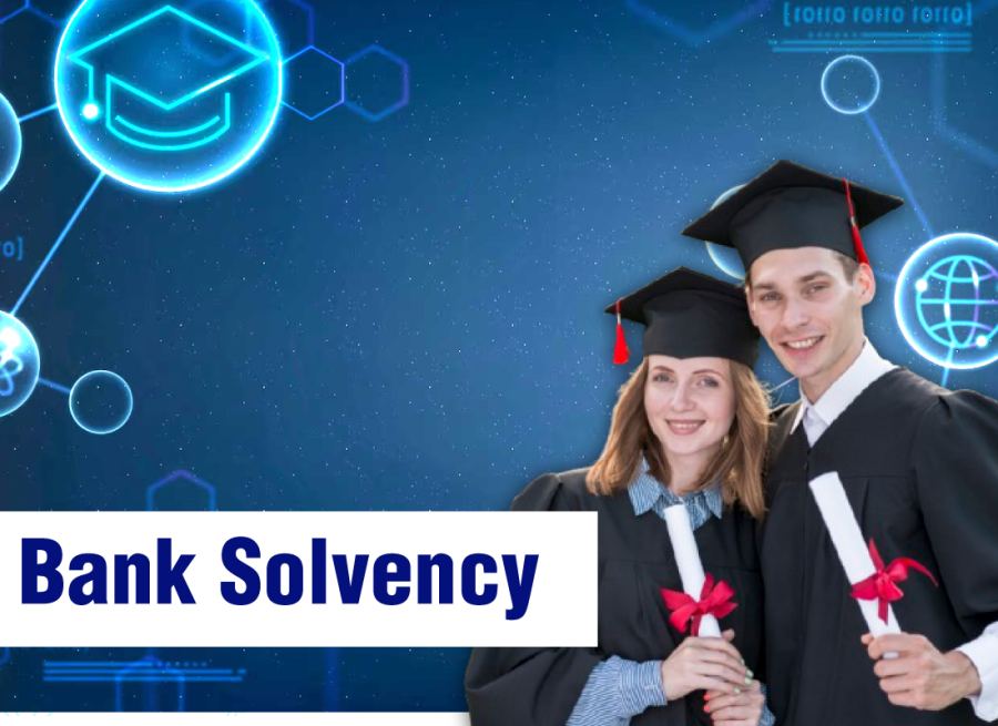 Bank Solvency Support